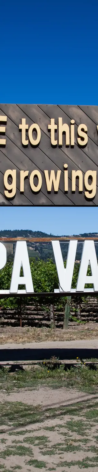 Degustiere feine Weine im Napa Valley